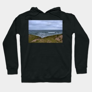 Steps to Paradise Hoodie